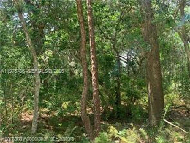 2326 W Barben Road, Avon Park, FL 33825