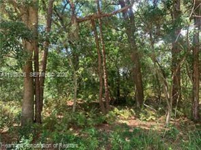 2326 W Barben Road, Avon Park, FL 33825