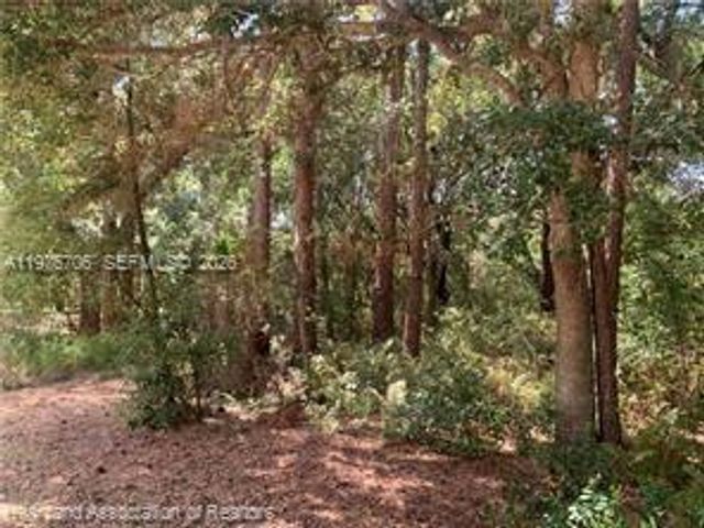 2326 W Barben Road, Avon Park, FL 33825