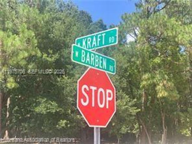 2326 W Barben Road, Avon Park, FL 33825