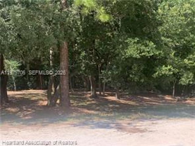 2326 W Barben Road, Avon Park, FL 33825