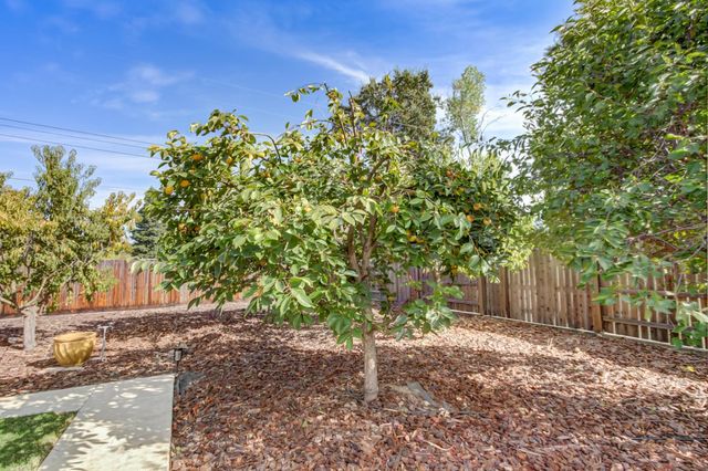 7420 Hardy St, Orangevale, CA 95662