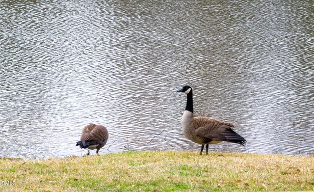 2816 Piedmont River Way, Raleigh, NC 27606