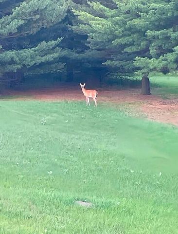 S43W33485 Edwards DRIVE, Dousman, WI 53118