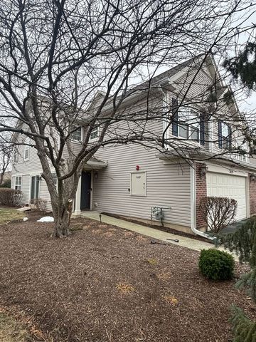 3029 Crystal Rock Road, Naperville, IL 60564
