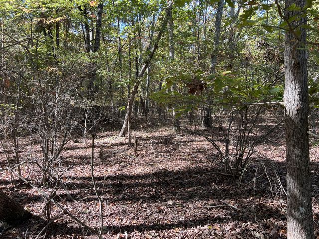 0 Cooleys Rift Blvd, Monteagle, TN 37356
