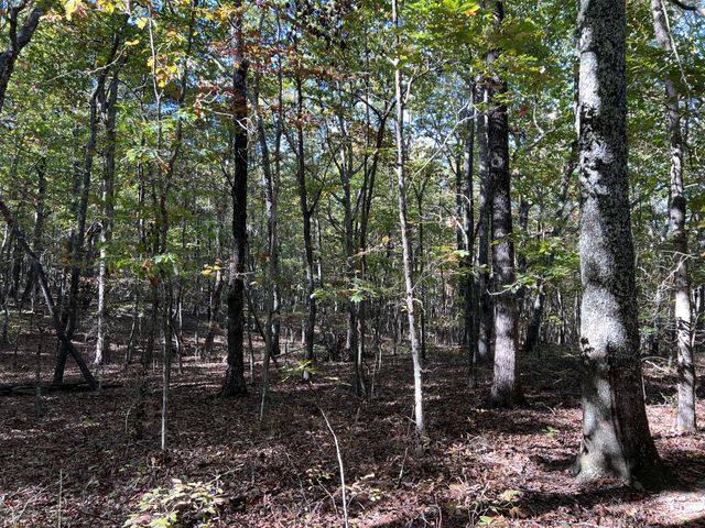0 Cooleys Rift Blvd, Monteagle, TN 37356