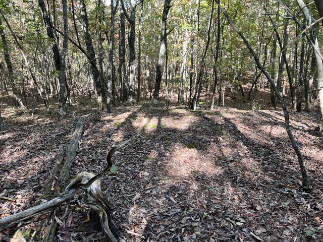 0 Cooleys Rift Blvd, Monteagle, TN 37356