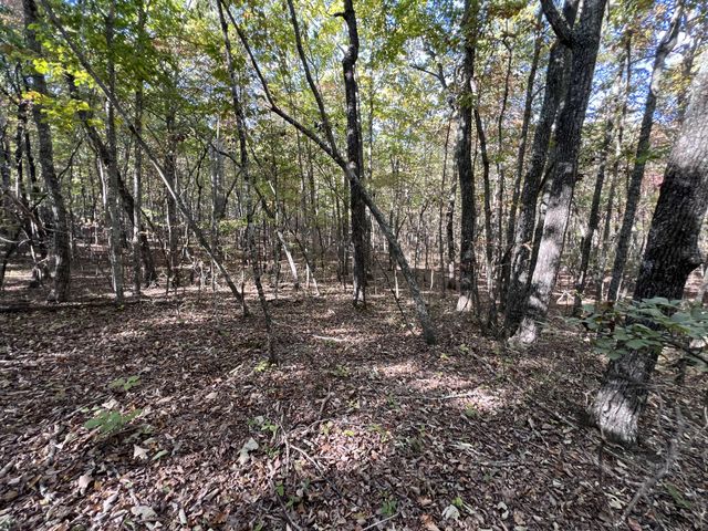 0 Cooleys Rift Blvd, Monteagle, TN 37356