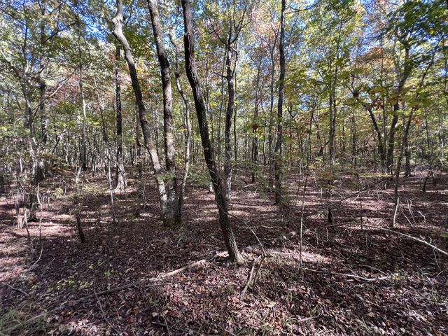 0 Cooleys Rift Blvd, Monteagle, TN 37356
