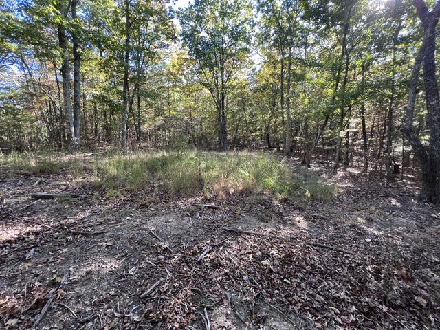 0 Cooleys Rift Blvd, Monteagle, TN 37356