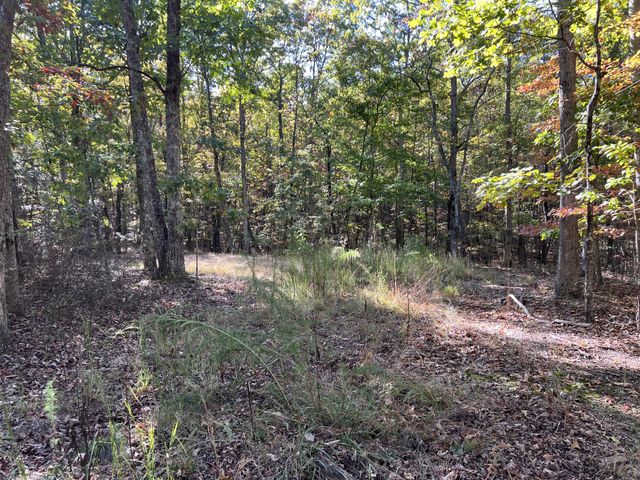 0 Cooleys Rift Blvd, Monteagle, TN 37356