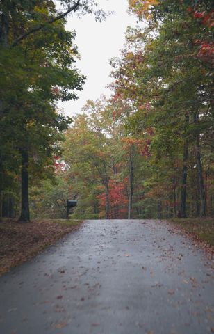 0 Cooleys Rift Blvd, Monteagle, TN 37356