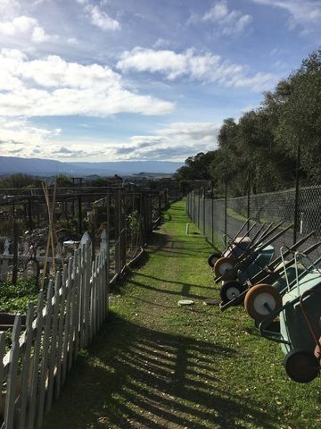 7931 Caledonia Drive, San Jose, CA 95135