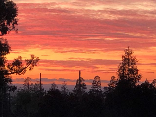 7931 Caledonia Drive, San Jose, CA 95135