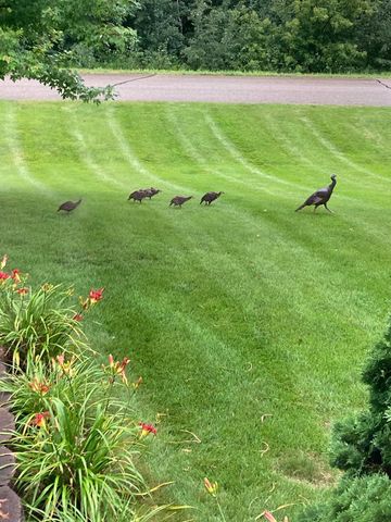 3177 Lakecrest Road NE, Alexandria, MN 56308