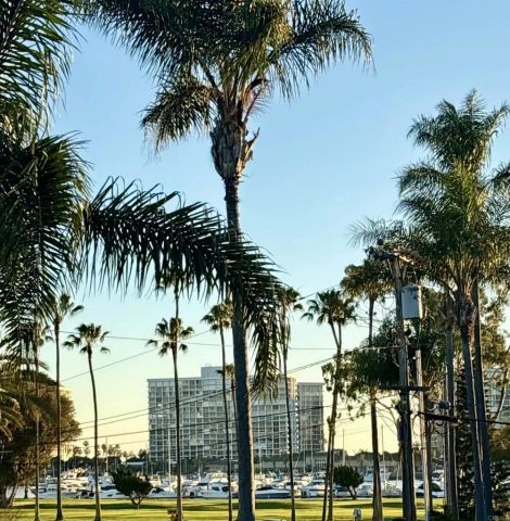 1725 Monterey Avenue, Coronado, CA 92118