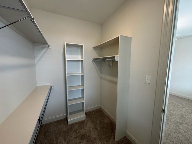 11512 SUNSPARKLER WAY, Collierville, TN 38017