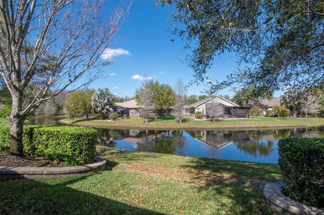 19419 AUTUMN CHASE COURT, Land O Lakes, FL 34638