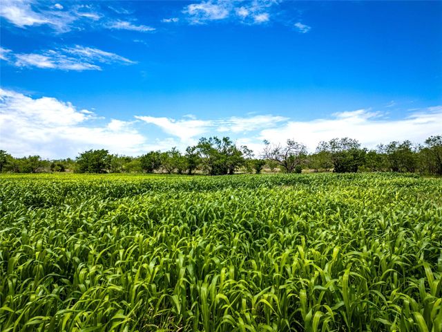 36.5 Ac. Alexander Road, Moody, TX 76557