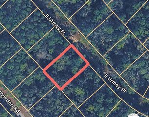 1148 E Urmey Place, Citrus Springs, FL 34434