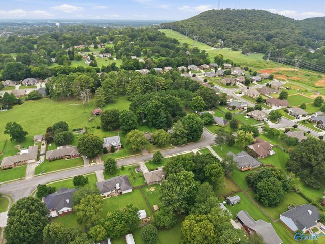 213 Burningtree Trace, Madison, AL 35757