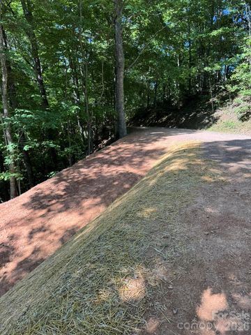 97 Hosta Drive, Sylva, NC 28779