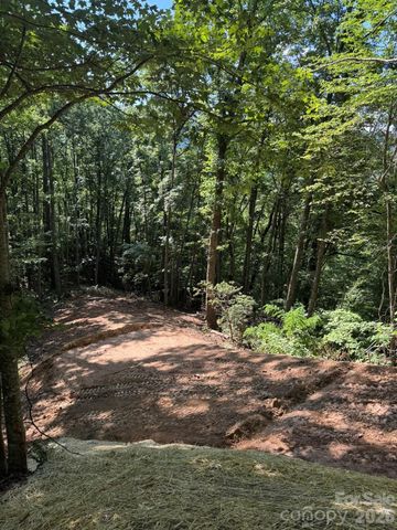 97 Hosta Drive, Sylva, NC 28779