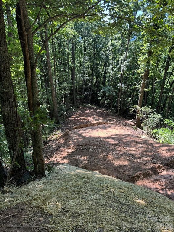 97 Hosta Drive, Sylva, NC 28779