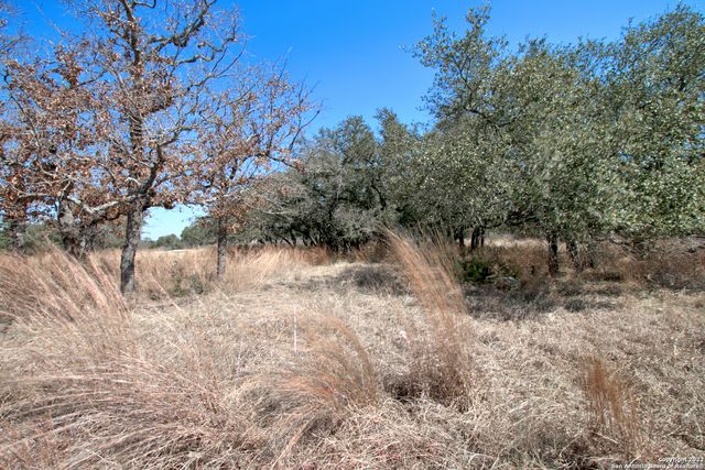 823 Mystic Pkwy, Spring Branch, TX 78070