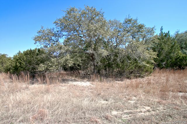 823 Mystic Pkwy, Spring Branch, TX 78070