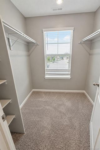 10429 Castor Drive, Colorado Springs, CO 80925