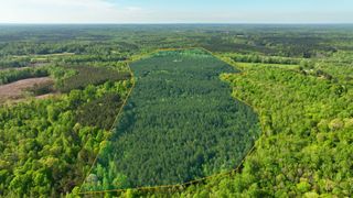 1600 Eden Farm Rd, Camden, TN 38320