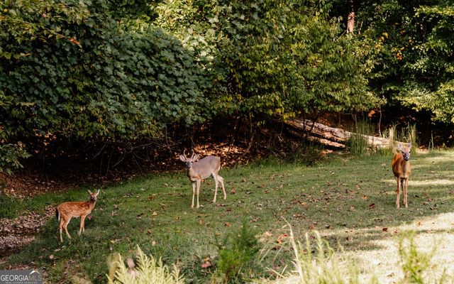 107 23rd Street, Ellijay, GA 30540