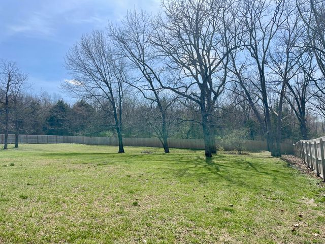 1385 Fifth Street, Cabool, MO 65689