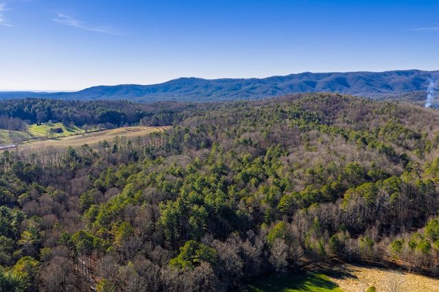 17.29 ac Pleasant Oak Trail, Ellijay, GA 30540