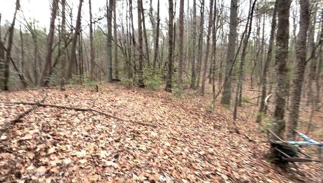 17.29 ac Pleasant Oak Trail, Ellijay, GA 30540