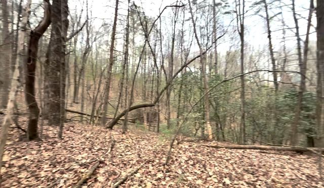 17.29 ac Pleasant Oak Trail, Ellijay, GA 30540