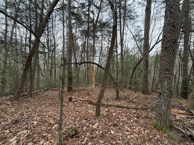 17.29 ac Pleasant Oak Trail, Ellijay, GA 30540