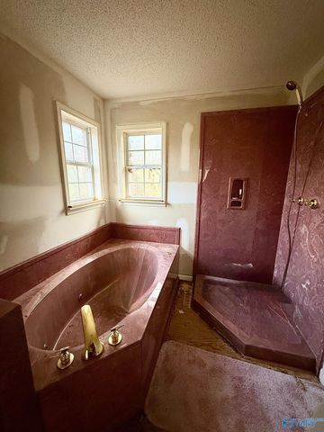 221 Freeman Drive, Altoona, AL 35952