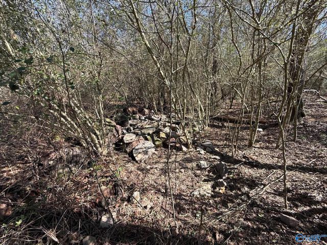 221 Freeman Drive, Altoona, AL 35952