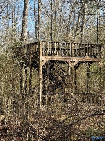 221 Freeman Drive, Altoona, AL 35952