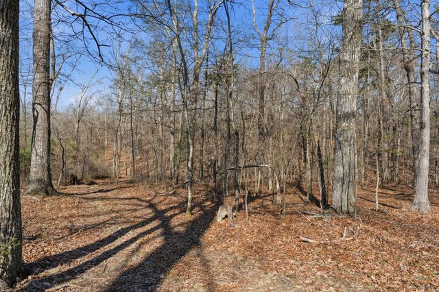 91 Whispering Oaks St, Summertown, TN 38483