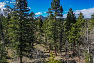 360 Tejon Creek Trail, Florissant, CO 80816