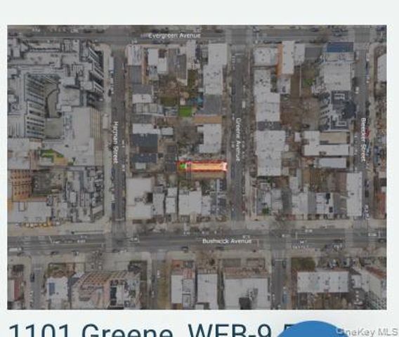1101 Greene Avenue, Brooklyn, NY 11221