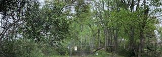 6121 Carson Road, Houston, TX 77048