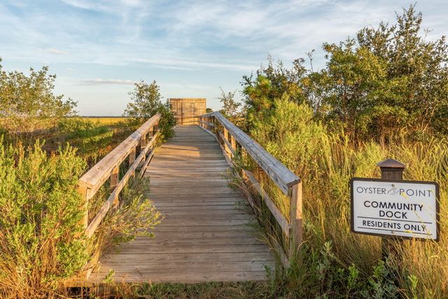 1508 Keshi Pearl Drive, Mount Pleasant, SC 29466