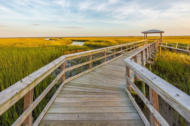 1508 Keshi Pearl Drive, Mount Pleasant, SC 29466