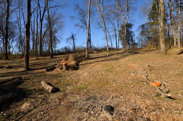 720 Armstrong Rd, Castalian Springs, TN 37031