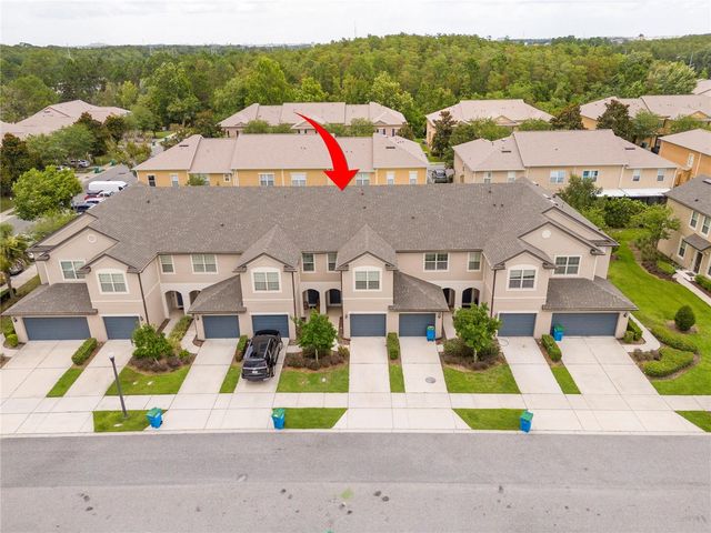 519 VIRTUOSO LANE 77, Orlando, FL 32824